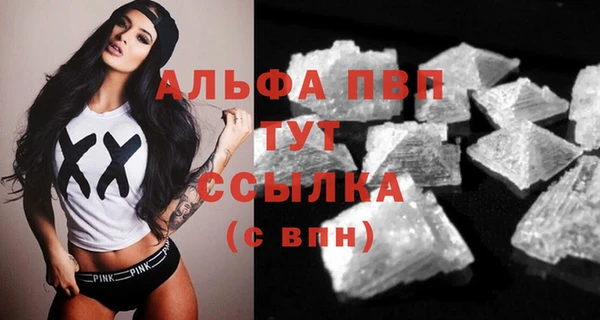 экстази Бородино