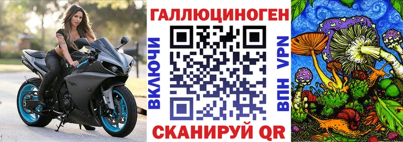 Псилоцибиновые грибы Cubensis  магазин  наркотиков  Киренск 